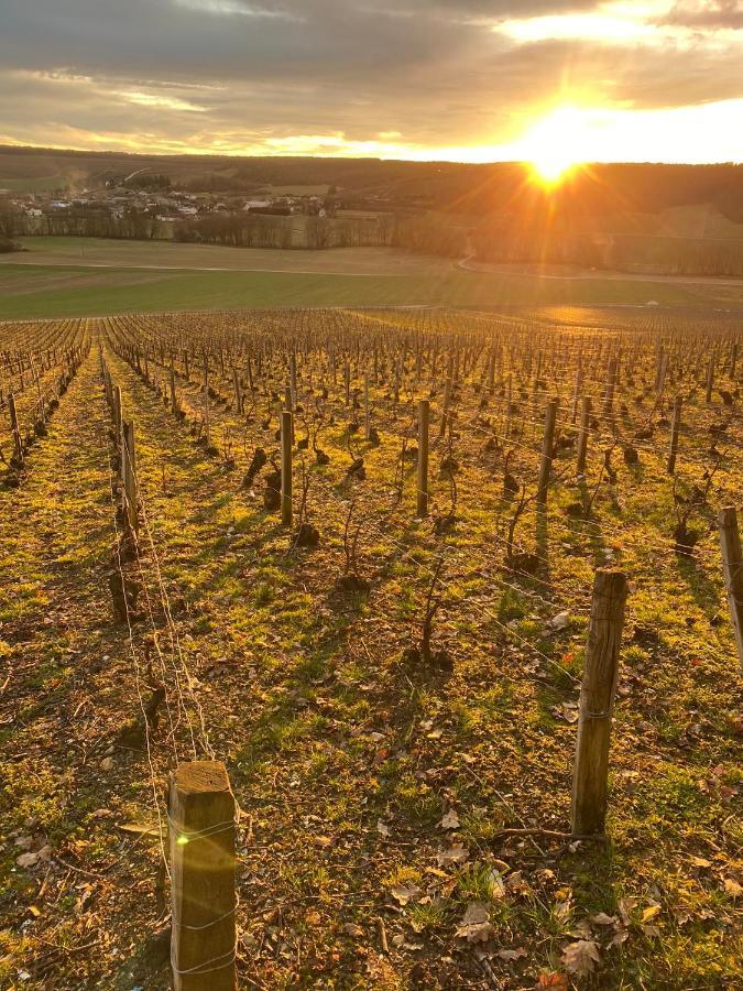 Nuit'S Feerique En Champagne Villa Meurville Eksteriør bilde