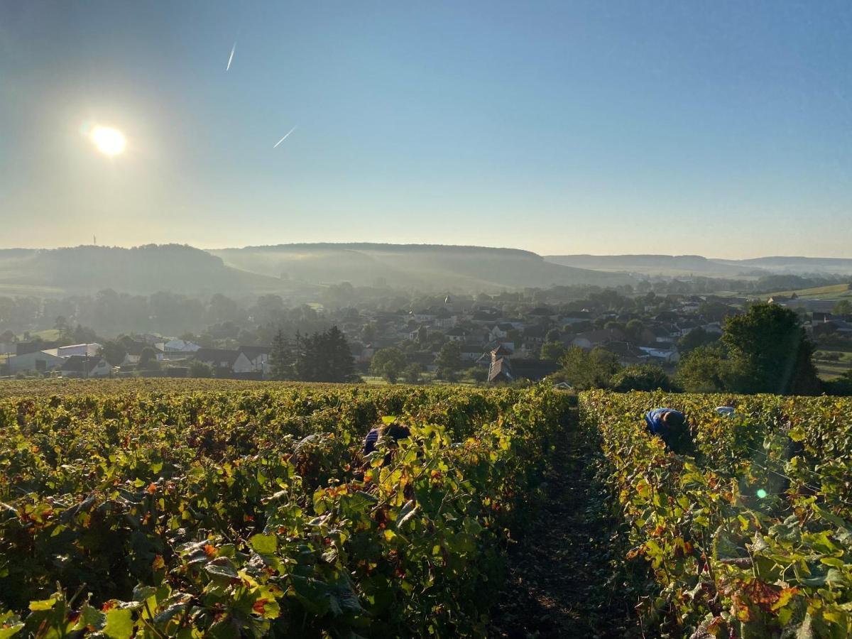 Nuit'S Feerique En Champagne Villa Meurville Eksteriør bilde