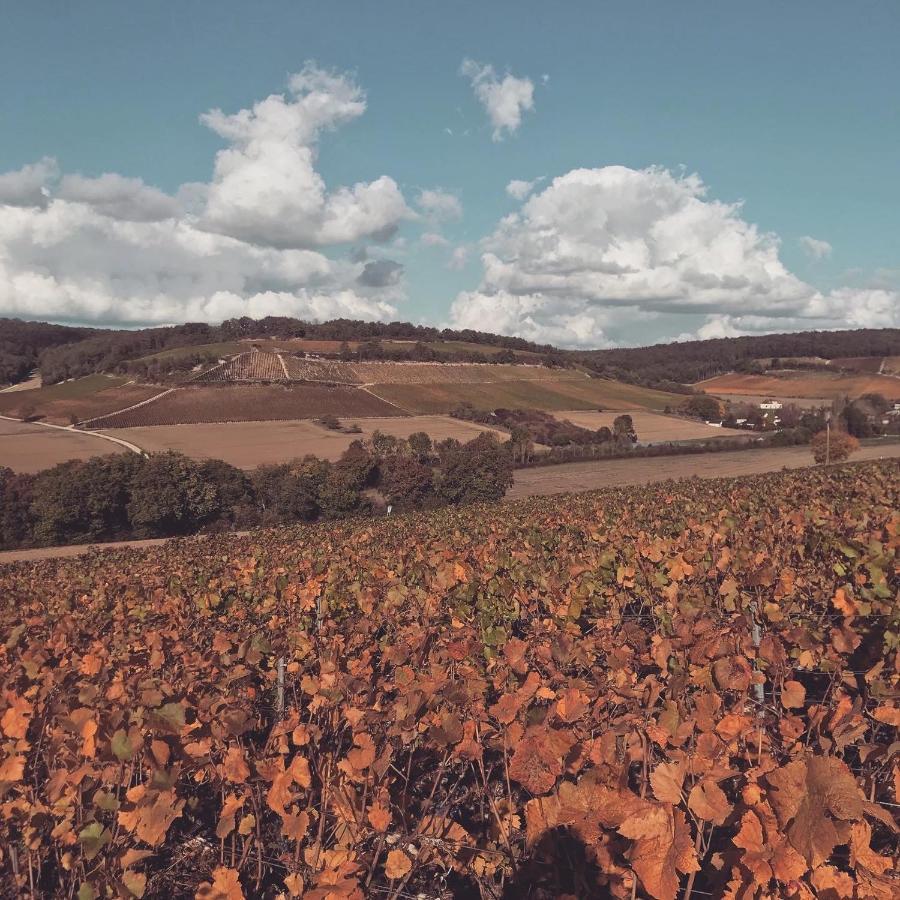 Nuit'S Feerique En Champagne Villa Meurville Eksteriør bilde
